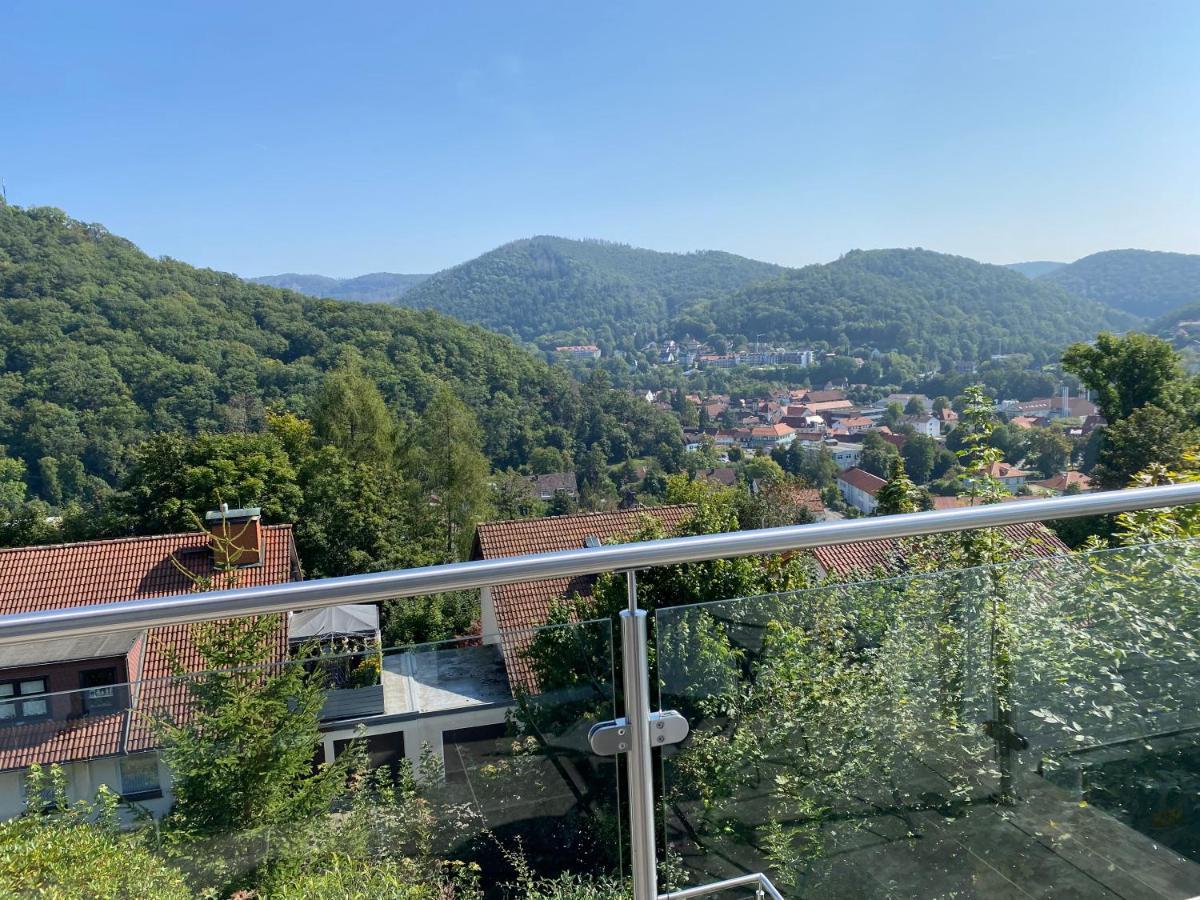 Harz Living - Ferienwohnungen Mit Traumblick Bad Lauterberg Luaran gambar